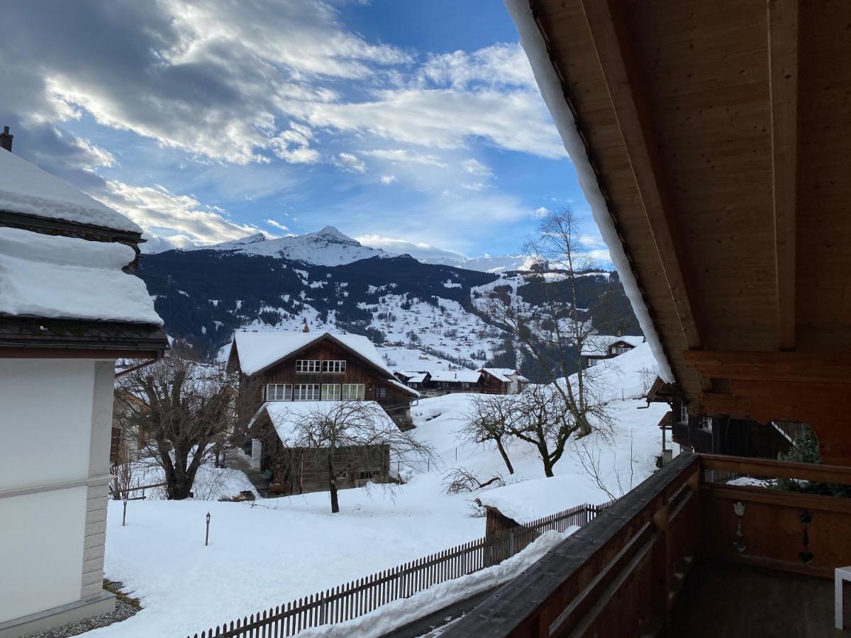 Chalet Elizabeth Apartment Гринделвалд Екстериор снимка